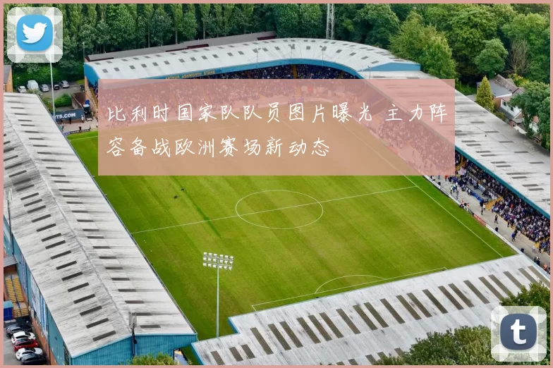 比利时国家队队员图片曝光 主力阵容备战欧洲赛场新动态