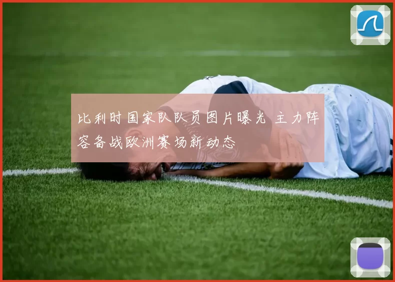 比利时国家队队员图片曝光 主力阵容备战欧洲赛场新动态