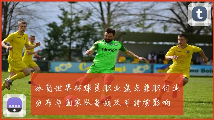 冰岛世界杯球员职业盘点兼职行业分布与国家队备战及可持续影响