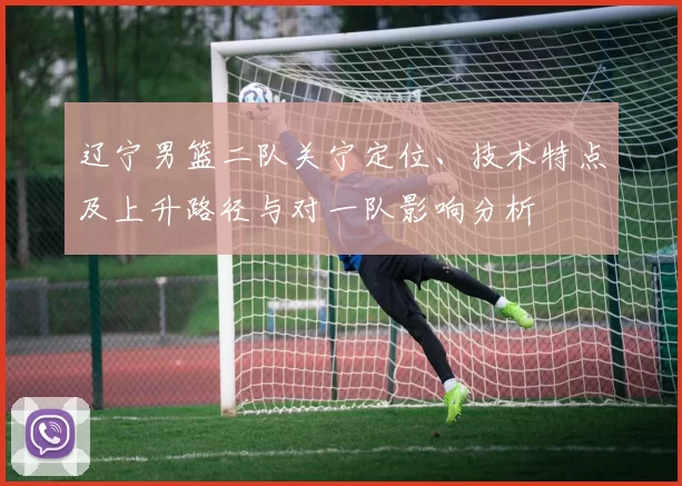 辽宁男篮二队关宁定位、技术特点及上升路径与对一队影响分析